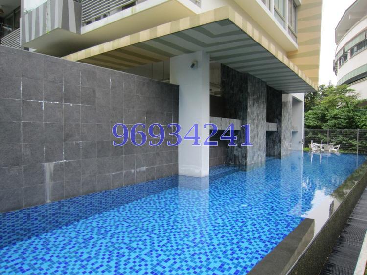Mulberry Tree (D11), Apartment #83023162
